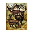 thumbnail image 1 of Designart 'Old-world Mammals I' Farmhouse Framed Canvas Wall Art Print, 1 of 5