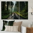 thumbnail image 1 of Designart "Olympic Greenery Forests of Olympic National Park II" Landscapes Metal Wall Art Set, 1 of 5