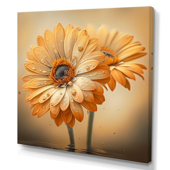 Designart Orange And White Daisy'S I Canvas Wall Art