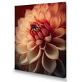 thumbnail image 1 of Designart Orange Dahlia Flower V Canvas Wall Art, 1 of 5
