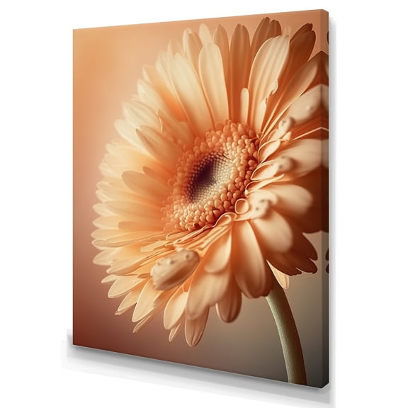 Designart Orange Gerbera Flower I Canvas Wall Art