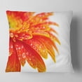 thumbnail image 1 of Designart Orange Gerbera with Raindrops - Floral Throw Pillow - 16x16, 1 of 4