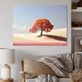thumbnail image 1 of Designart "Orange Tree Desert silence" Landscape Trees Canvas Wall Art, 1 of 5