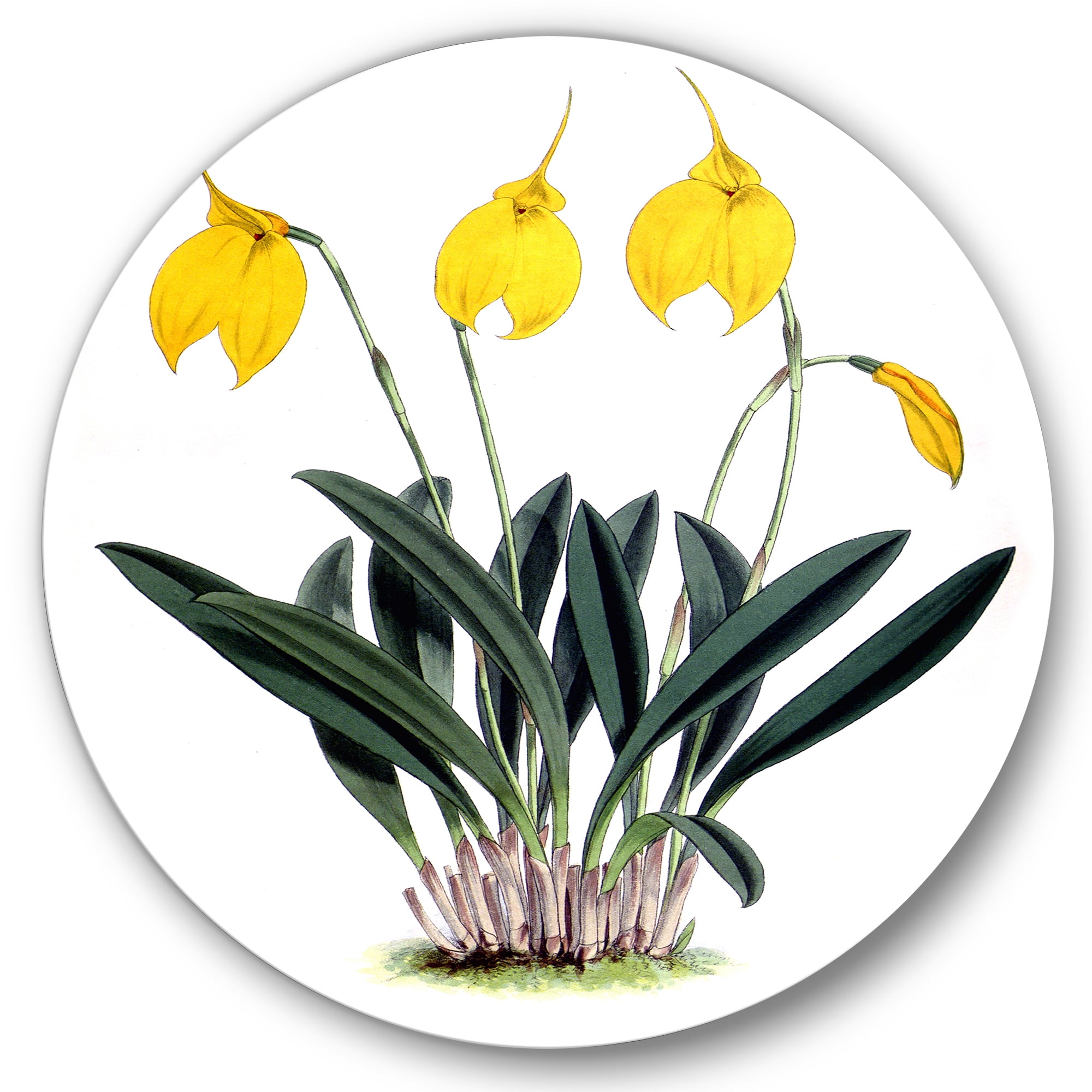 Designart 'Orchid Retro Flowers' Farmhouse Circle Metal Wall Art 23x23 - Disc of 23