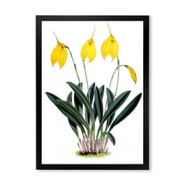 Designart 'Orchid Retro Flowers' Farmhouse Framed Art Print