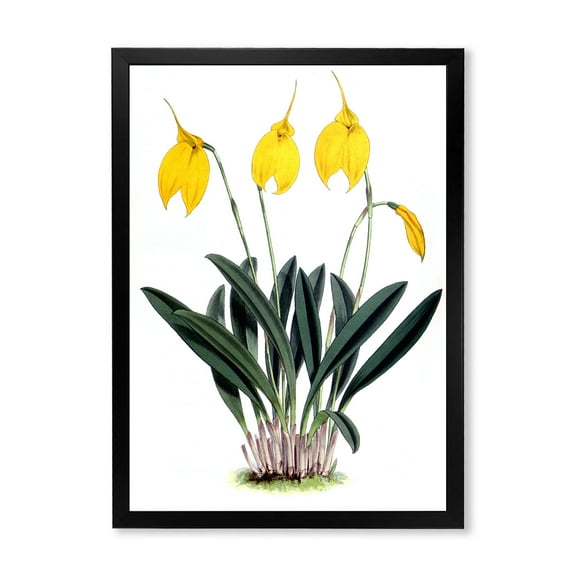 Designart 'Orchid Retro Flowers' Farmhouse Framed Art Print