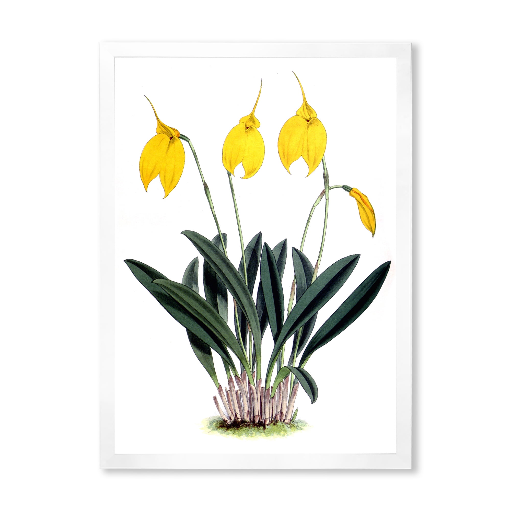 Designart 'Orchid Retro Flowers' Farmhouse Framed Art Print