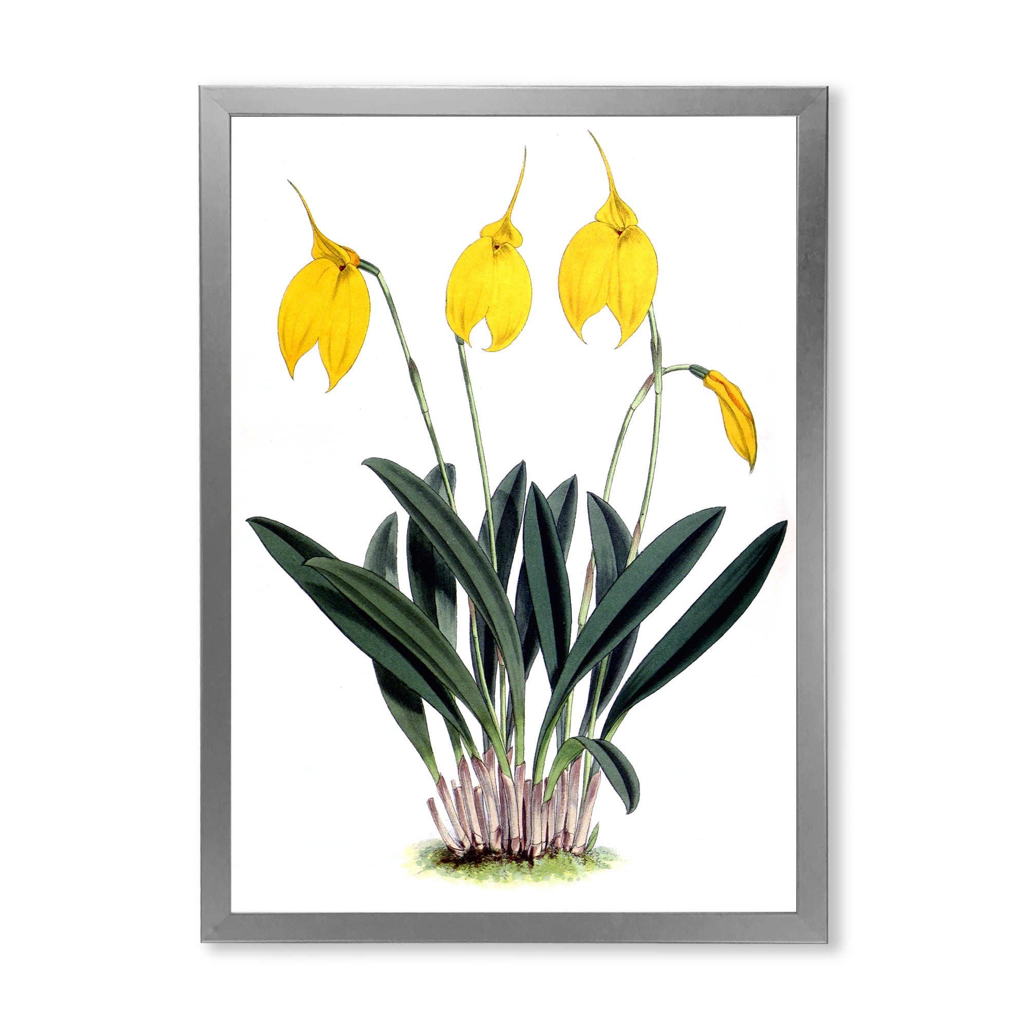 Designart 'Orchid Retro Flowers' Farmhouse Framed Art Print