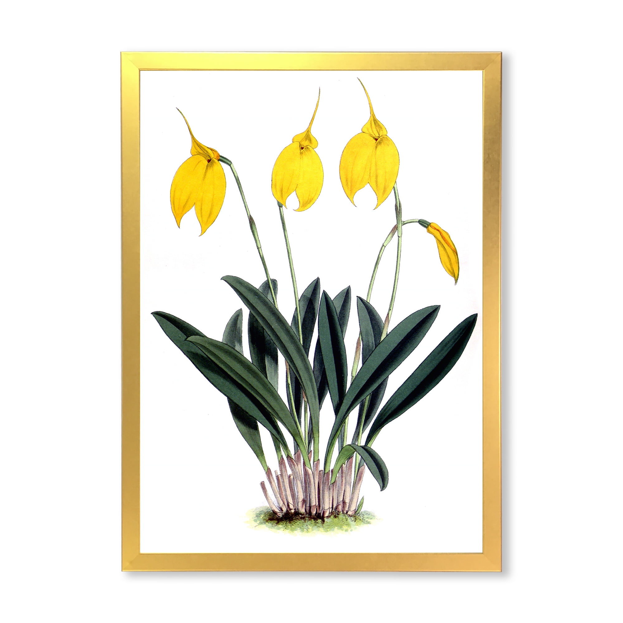 Designart 'Orchid Retro Flowers' Farmhouse Framed Art Print