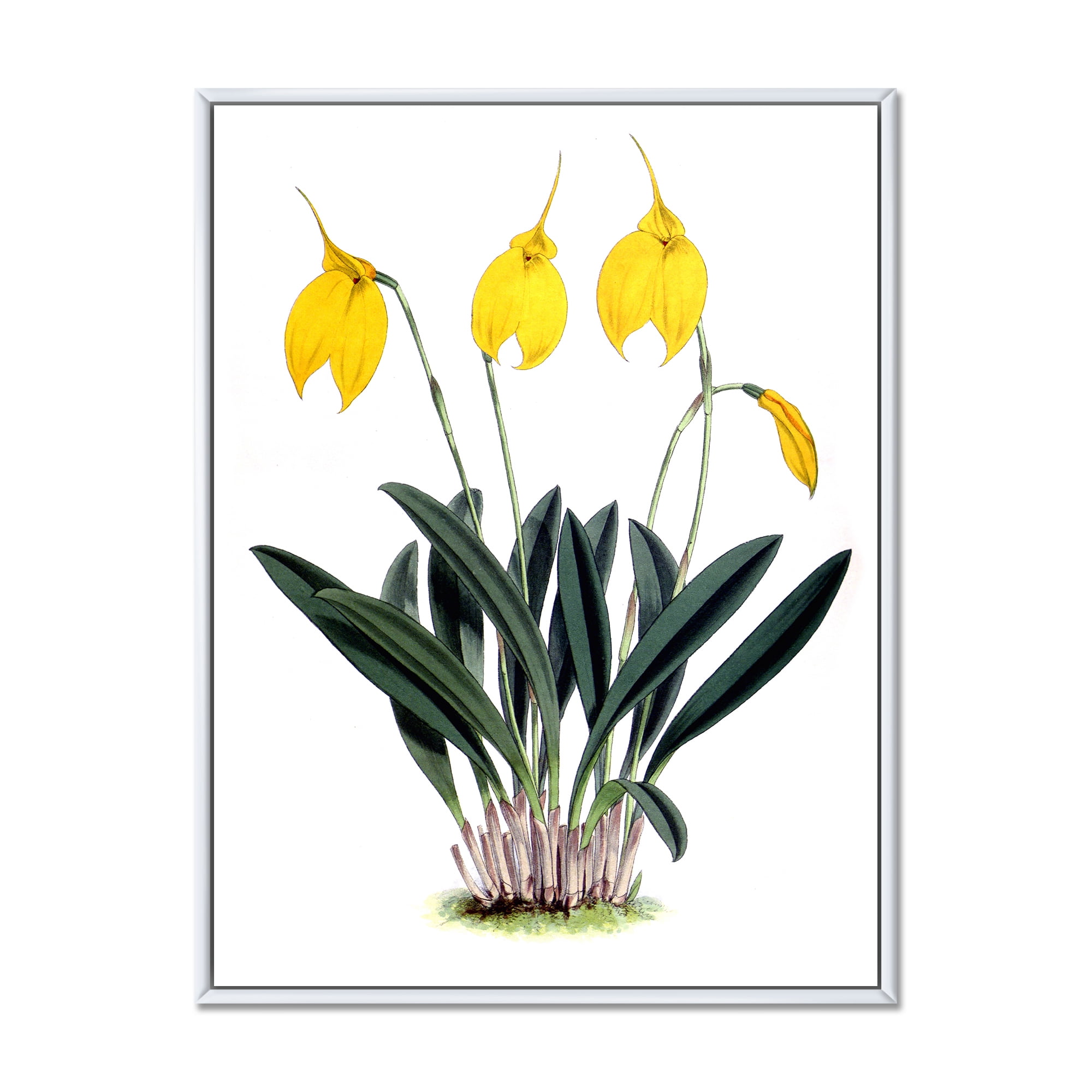 Designart 'Orchid Retro Flowers' Farmhouse Framed Canvas Wall Art Print
