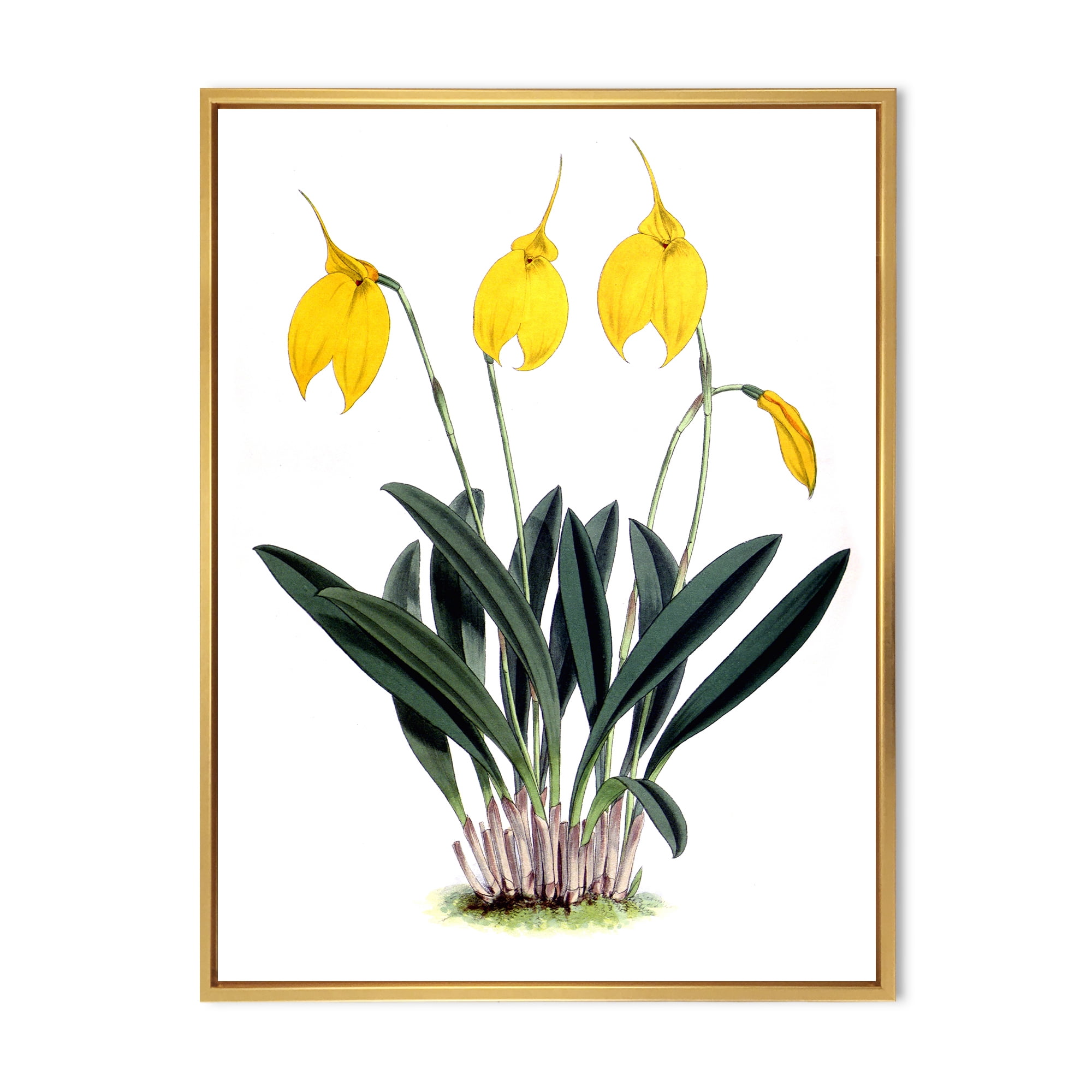 Designart 'Orchid Retro Flowers' Farmhouse Framed Canvas Wall Art Print