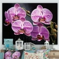 thumbnail image 1 of Designart "Orchids In The Oasis" Orchids Wall Art Living Room, 1 of 7