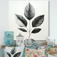 thumbnail image 1 of Designart "Outlined In Black Onyx Leaf" Leaves Canvas Prints, 1 of 7