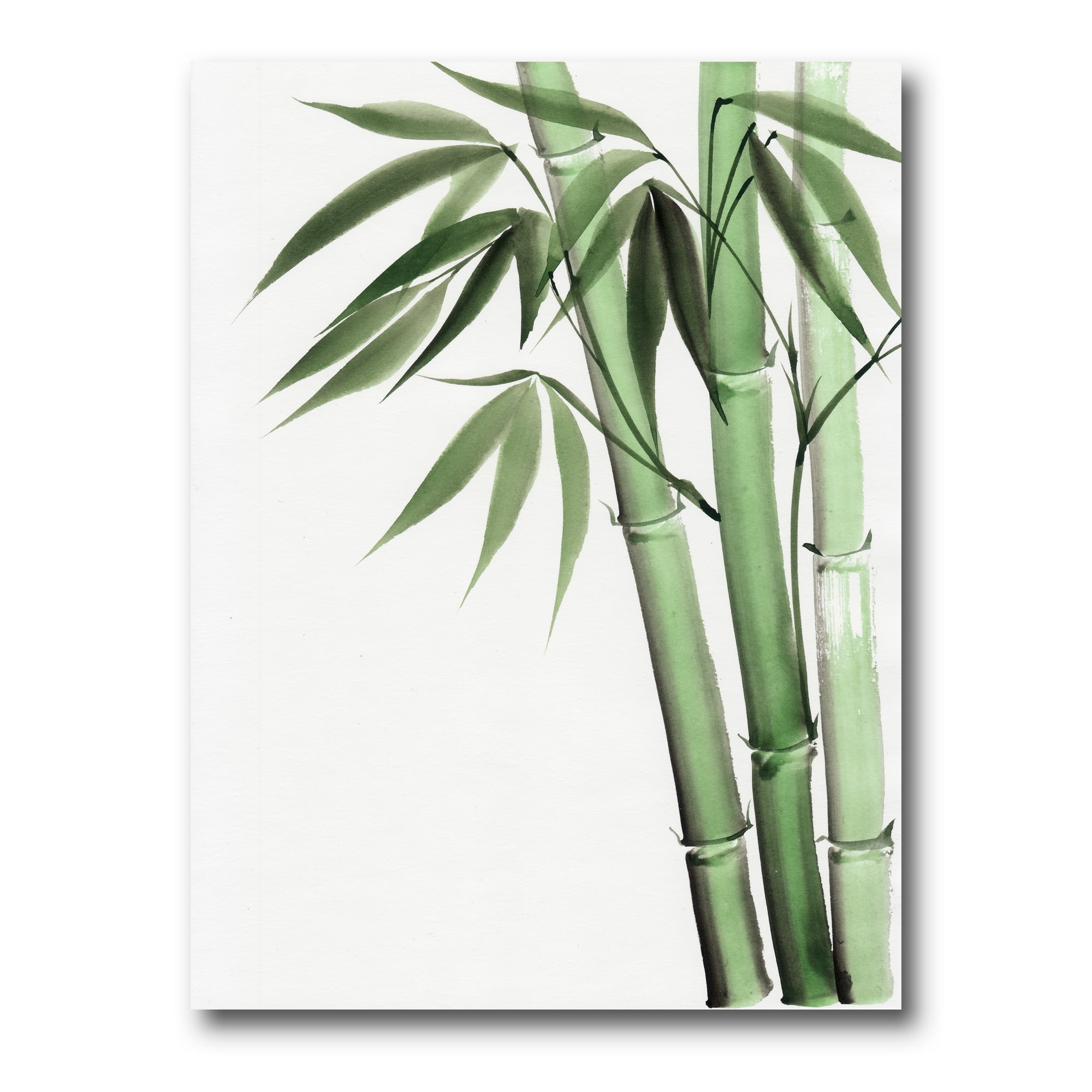 Designart ' Palm Bamboo Detail On White II ' Traditional Canvas Wall Art Print
