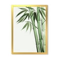 thumbnail image 1 of Designart 'Palm Bamboo Detail On White II' Traditional Framed Art Print, 1 of 4