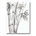 thumbnail image 1 of Designart ' Palm Bamboo Detail On White III ' Traditional Canvas Wall Art Print, 1 of 4