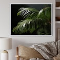 thumbnail image 1 of Designart "Palm Trees Euphony IV" Floral Floater Framed Canvas Wall Art, 1 of 7
