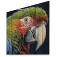 thumbnail image 1 of Designart "Parrot in a Tropical Paradise III" Animals Print on Natural Pine Wood, 1 of 5