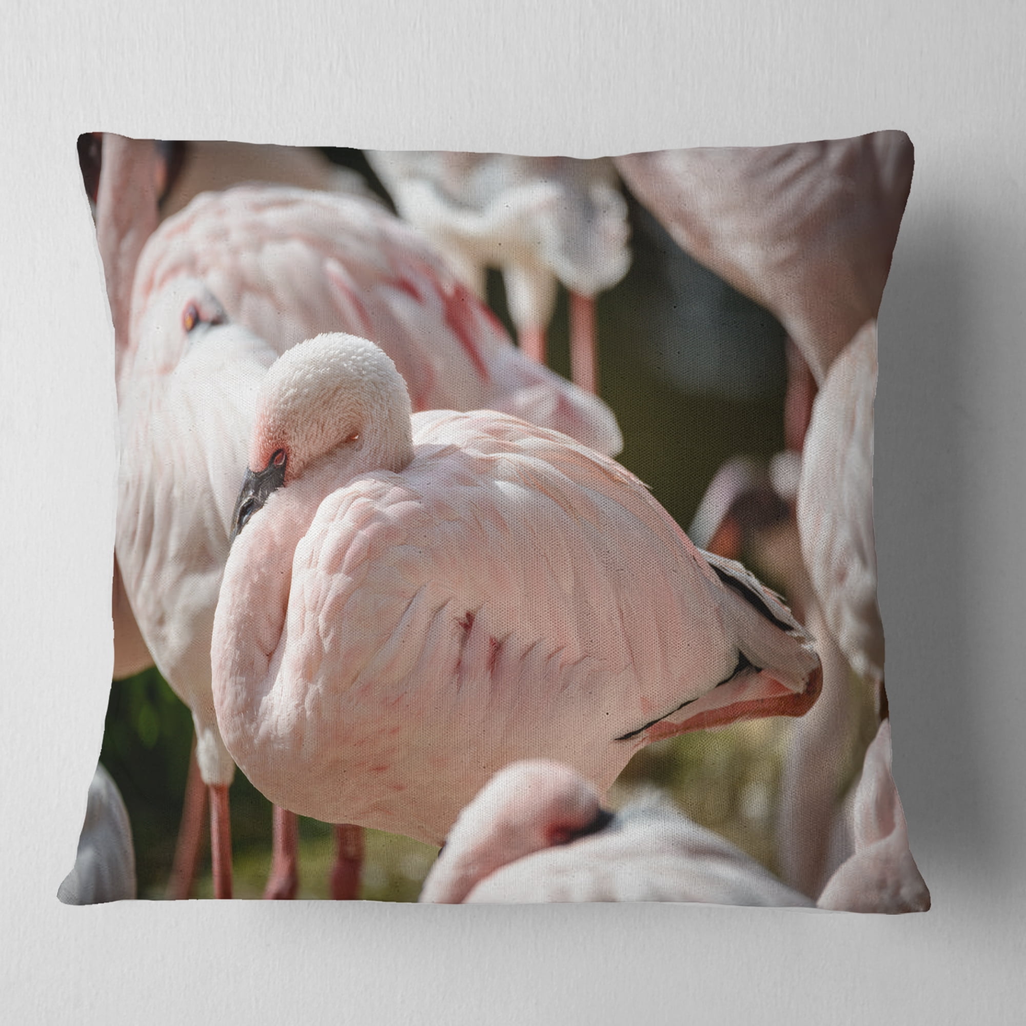 Designart Pat of Flamingos Close Up - Abstract Throw Pillow - 16x16