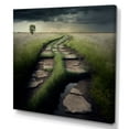 thumbnail image 1 of Designart Path In The Middle Of A Field I Canvas Wall Art, 1 of 5