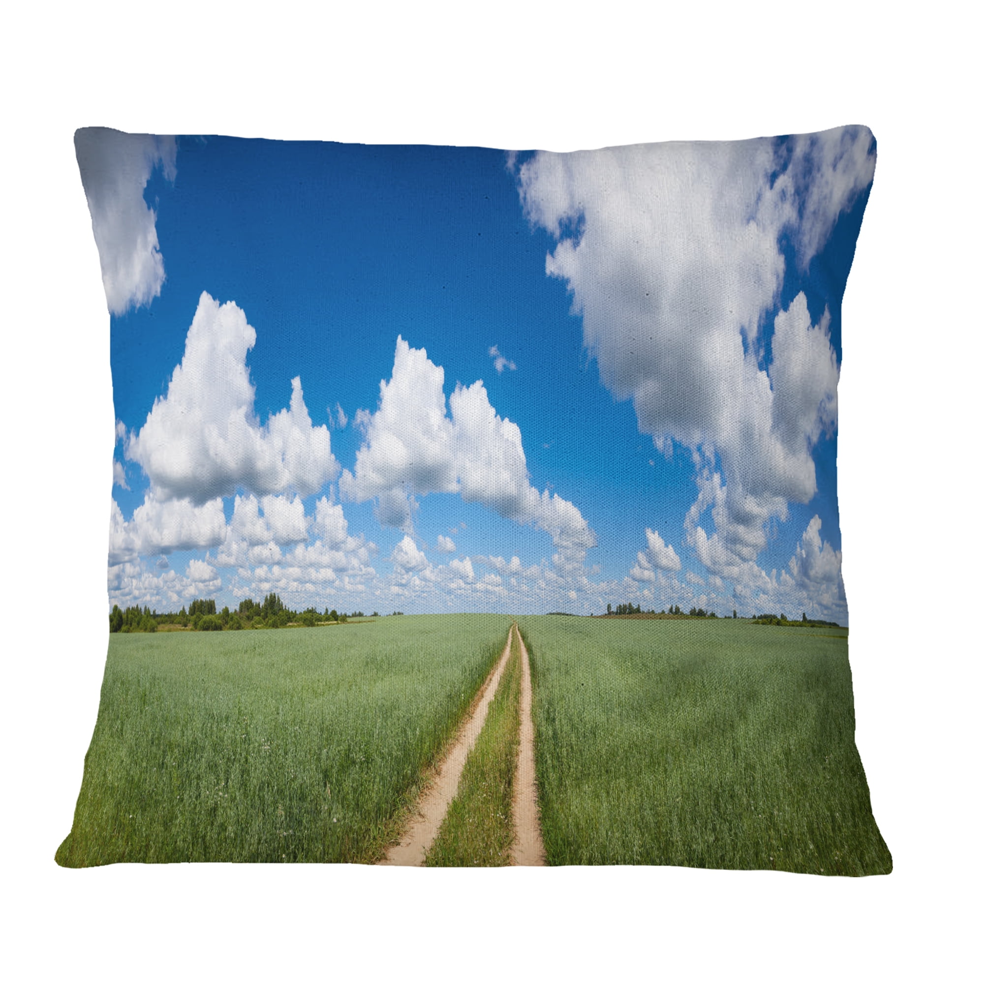 Designart Path in Bright Summer Panorama - Landscape Printed Throw Pillow - 18x18