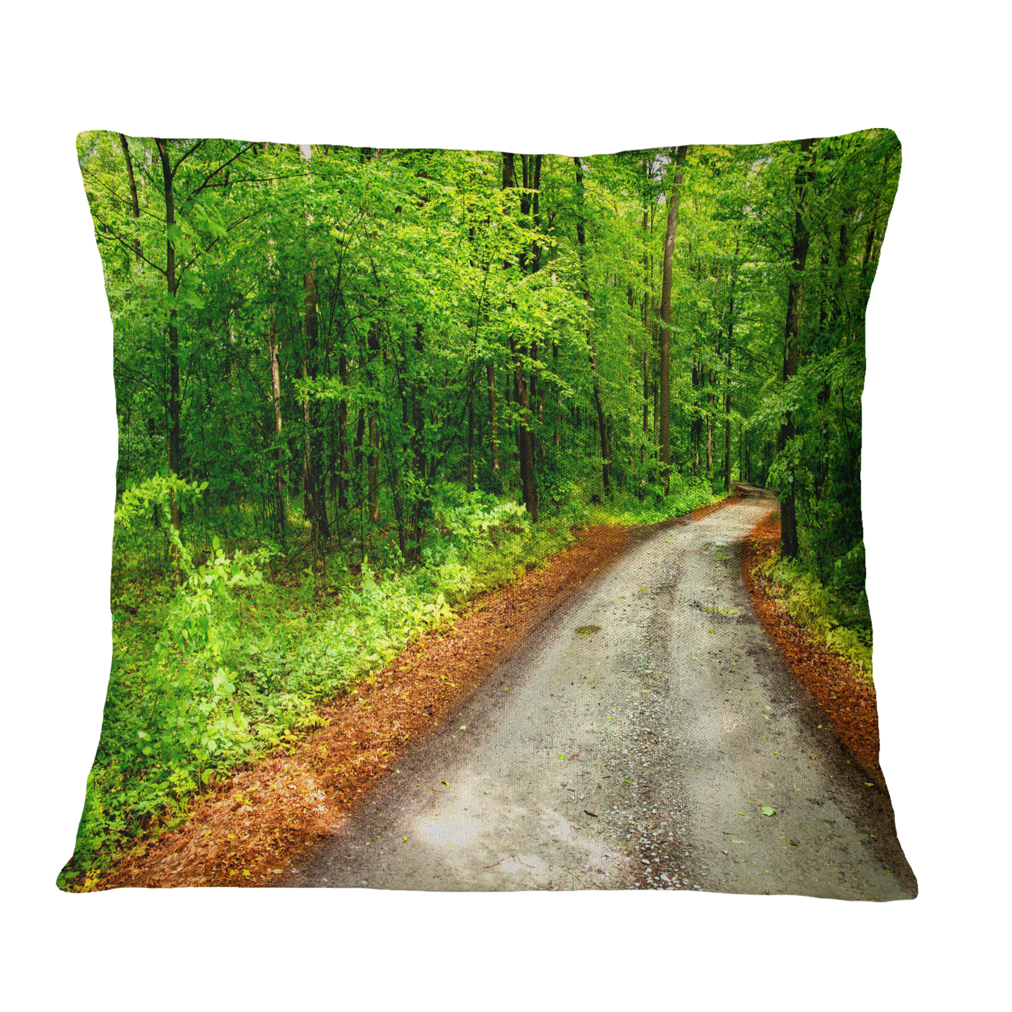 Designart Pathway in Deep Moss Forest - Landscape Printed Throw Pillow - 18x18