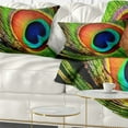 thumbnail image 1 of Designart Peacock Feather - Photography Throw Pillow - 12x20, 1 of 5