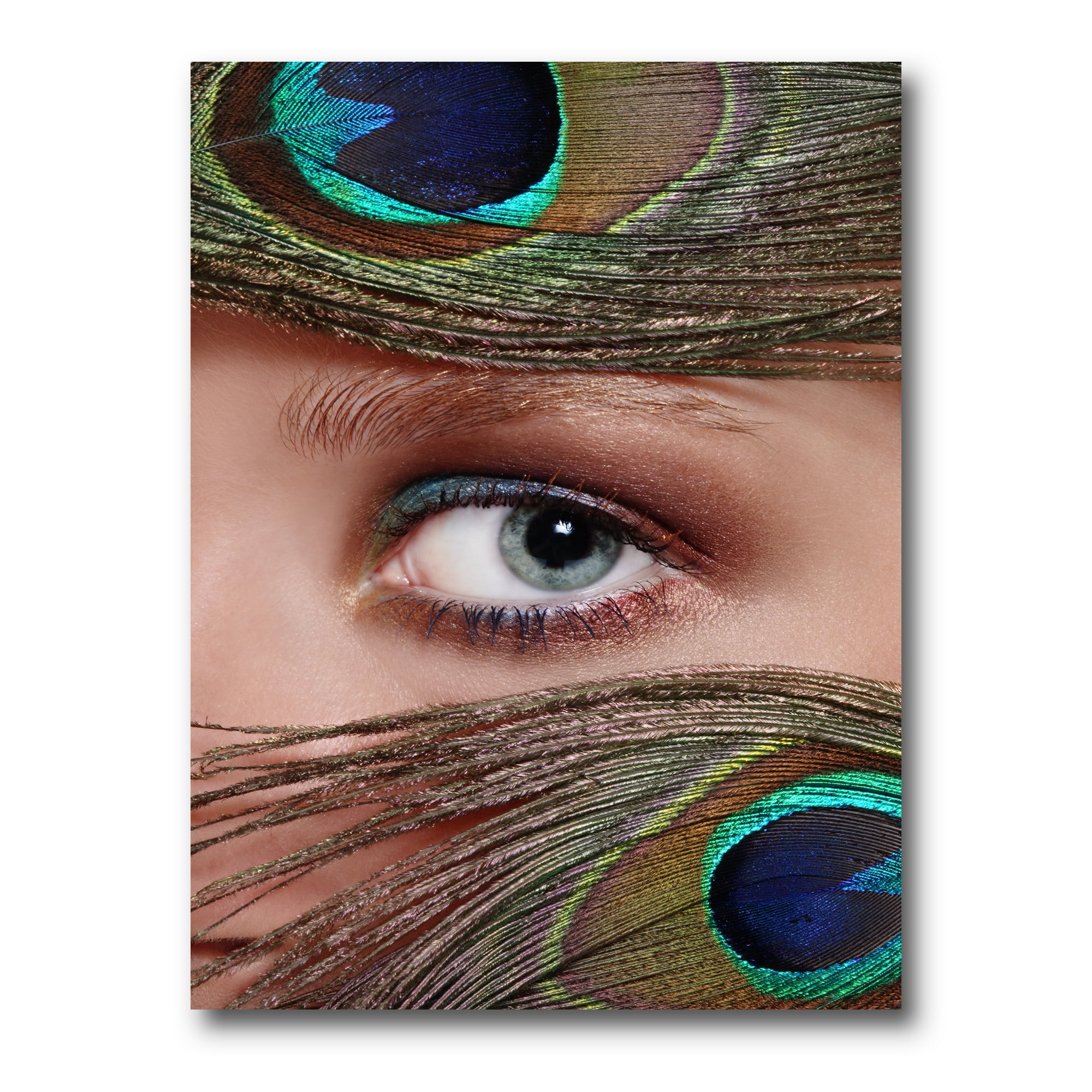 Designart ' Peacock Feathers and Eye ' Bohemian \u0026 Eclectic Canvas Wall Art Print, image size:2000x2000
