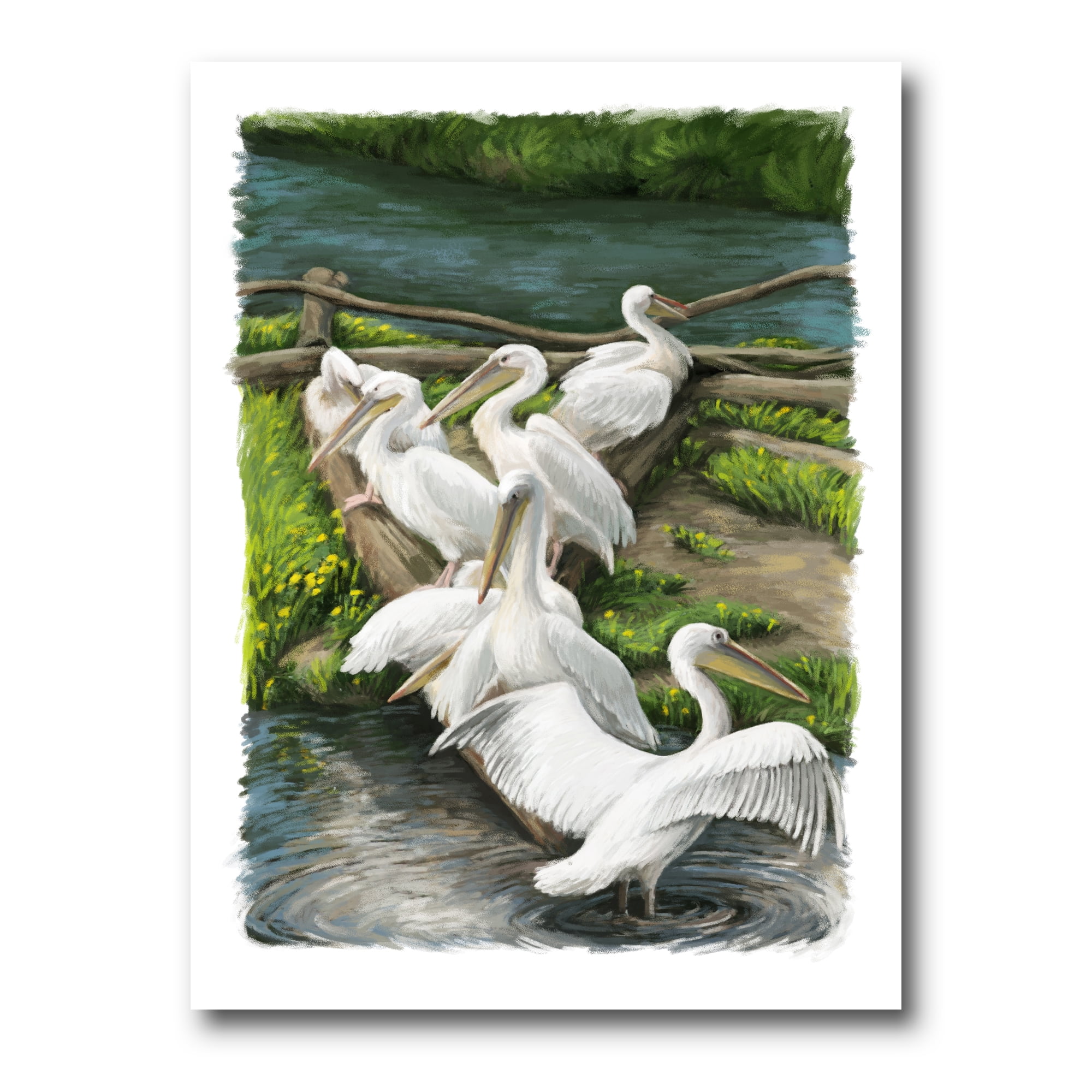 Designart ' Pelicans Resting Near The river Water ' Traditional Canvas Wall Art Print