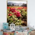 thumbnail image 1 of Designart "Photographic Field Of Geraniums I" Geraniums Floater Framed Canvas Wall Art, 1 of 5