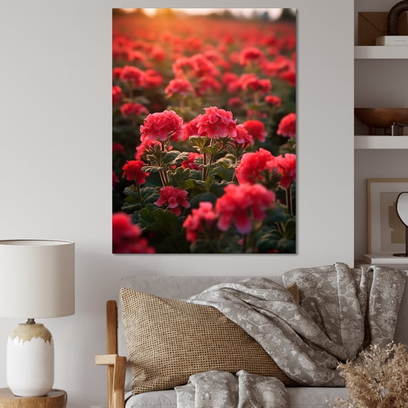 Designart "Photographic Field Of Geraniums II" Geraniums Canvas Prints
