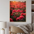 thumbnail image 1 of Designart "Photographic Field Of Geraniums II" Geraniums Floater Framed Canvas Prints, 1 of 5