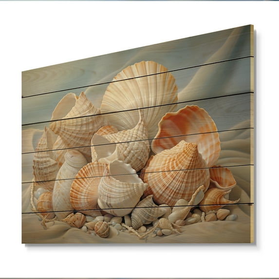 Designart "Photorealistic Seashells composition" Animals Print on Natural Pine Wood