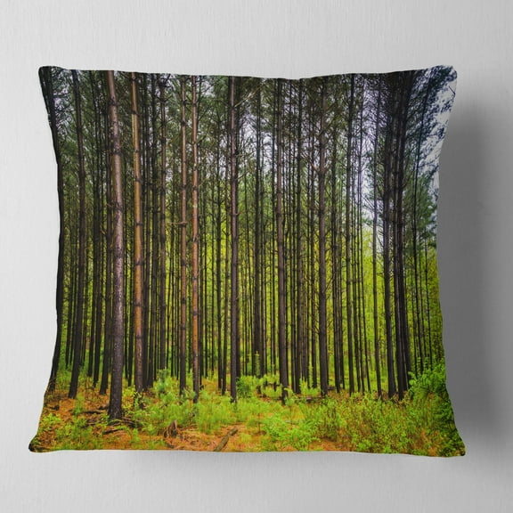 Designart Pine Trees in Michaux Forest - Modern Forest Throw Pillow - 16x16