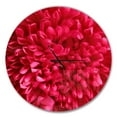 thumbnail image 1 of Designart 'Pink Aster Flower Petals Close up ' Modern Wall Clock, 1 of 4