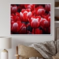 thumbnail image 1 of Designart "Pink Tulips landscape" Floral Floater Framed Wall Art Living Room, 1 of 7