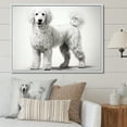 thumbnail image 1 of Designart "Poodle'S Pizzazz I" Animals Dog Floater Framed Canvas Wall Art, 1 of 5