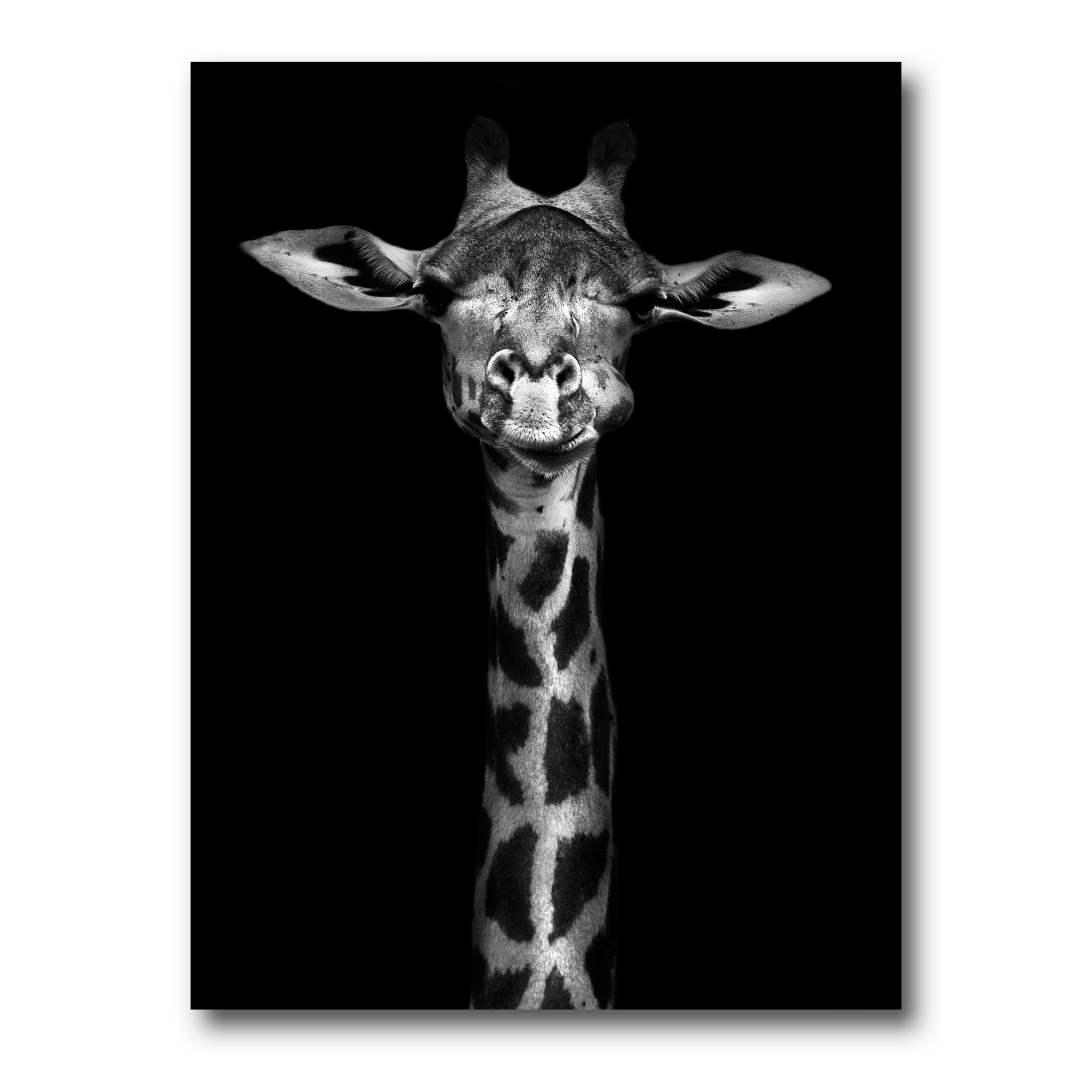 Designart ' Portrait Of A Giraffe In Monochrome ' Farmhouse Canvas Wall Art Print