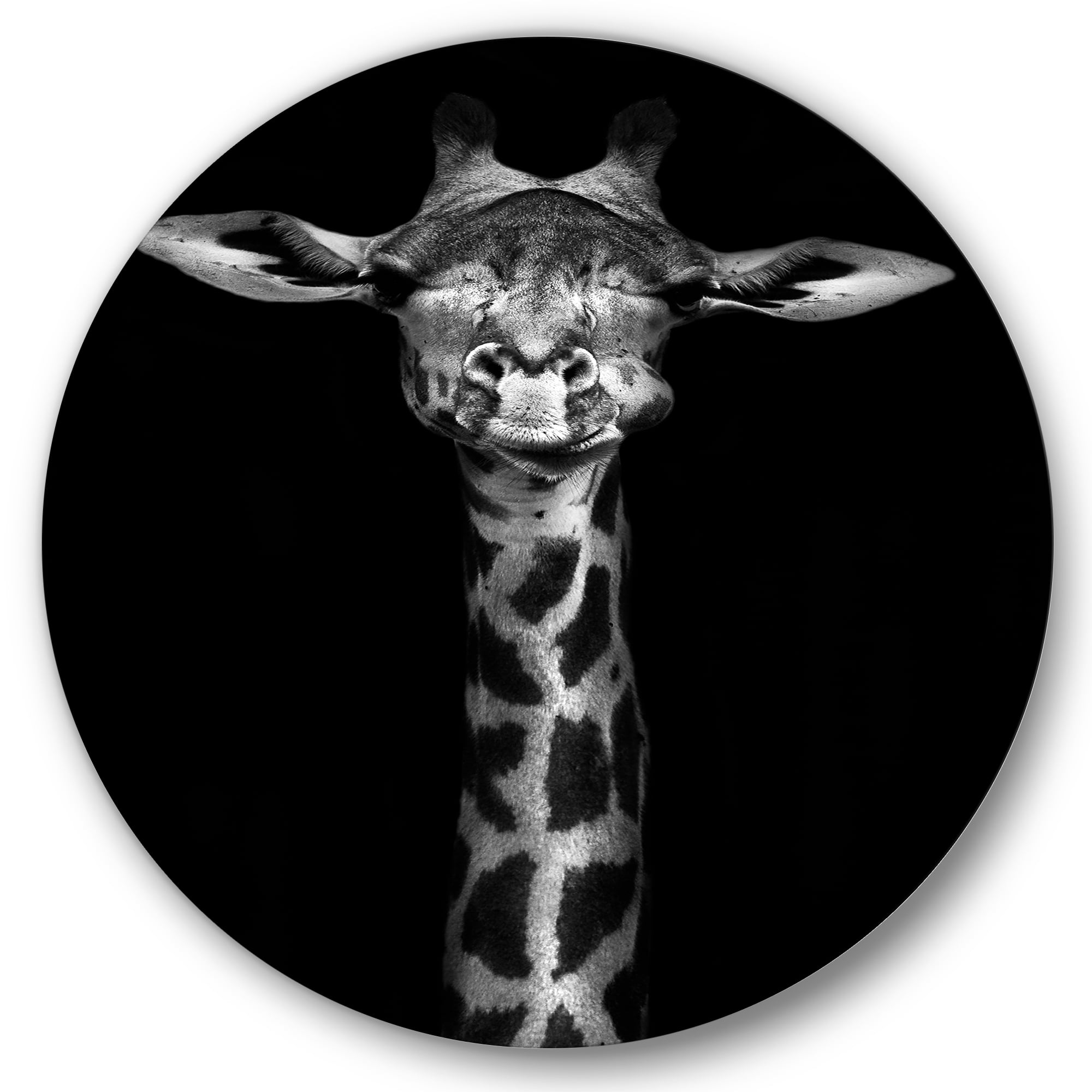 Designart 'Portrait Of A Giraffe In Monochrome' Farmhouse Circle Metal Wall Art 29x29 - Disc of 29