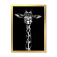 thumbnail image 1 of Designart 'Portrait Of A Giraffe In Monochrome' Farmhouse Framed Art Print, 1 of 4