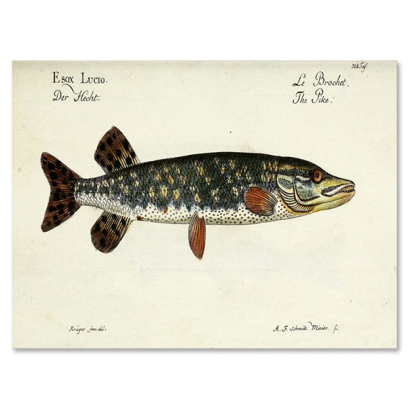 Designart ' Portrait Of A Green Fish On Beige ' Nautical & Coastal Canvas Wall Art Print