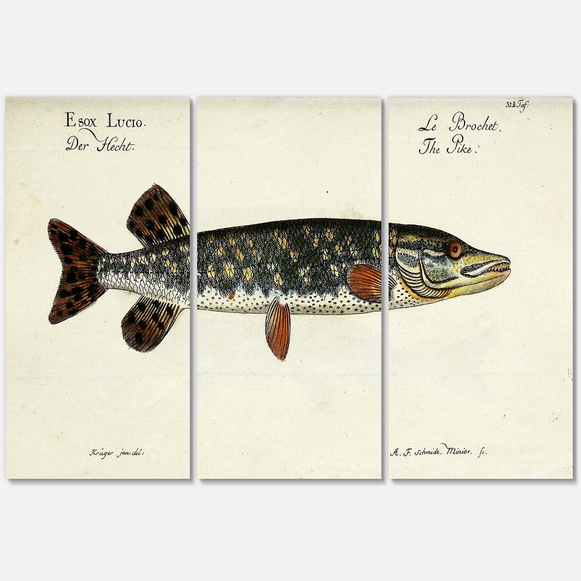 Designart ' Portrait Of A Green Fish On Beige ' Nautical & Coastal Canvas Wall Art Print