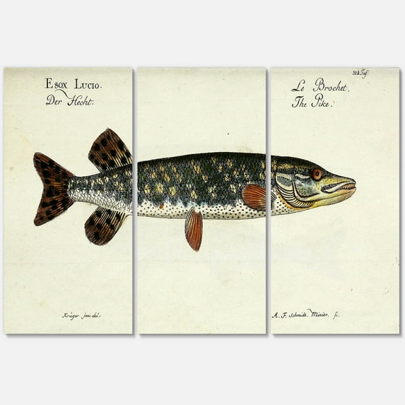 Designart ' Portrait Of A Green Fish On Beige ' Nautical & Coastal Canvas Wall Art Print
