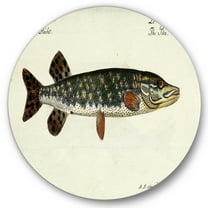 Designart 'Portrait Of A Green Fish On Beige' Nautical & Coastal Circle Metal Wall Art 36x36 - Disc of 36