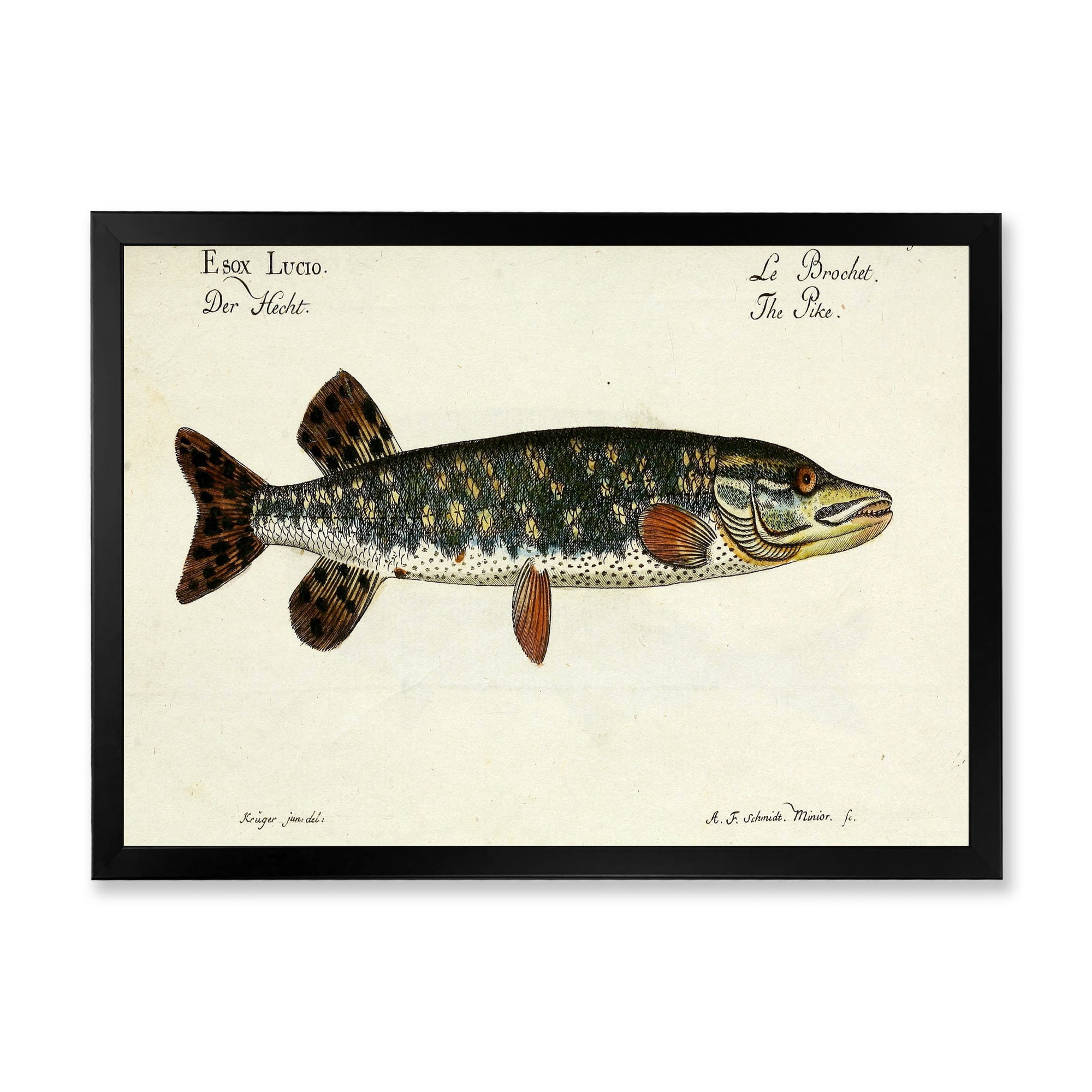 Designart 'Portrait Of A Green Fish On Beige' Nautical & Coastal Framed Art Print