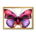 thumbnail image 1 of Designart 'Portrait Of Bright Pink Butterfly' Modern Framed Art Print, 1 of 4