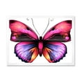 thumbnail image 1 of Designart 'Portrait Of Bright Pink Butterfly' Modern Framed Art Print, 1 of 4