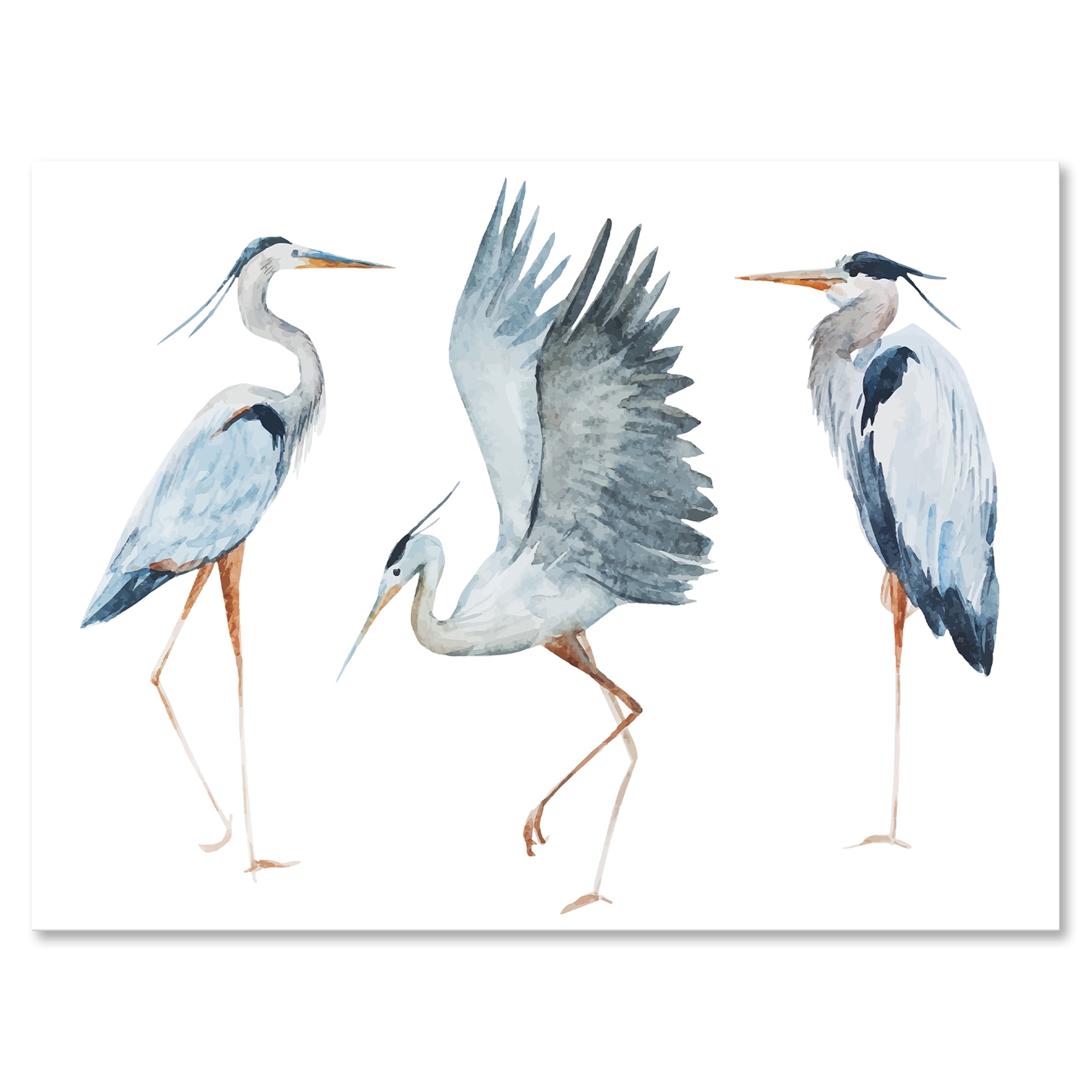 Designart ' Portrait Of Heron Birds II ' Traditional Canvas Wall Art Print