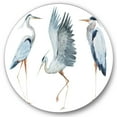 thumbnail image 1 of Designart 'Portrait Of Heron Birds II' Traditional Circle Metal Wall Art 29x29 - Disc of 29, 1 of 5