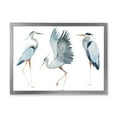thumbnail image 1 of Designart 'Portrait Of Heron Birds II' Traditional Framed Art Print, 1 of 4